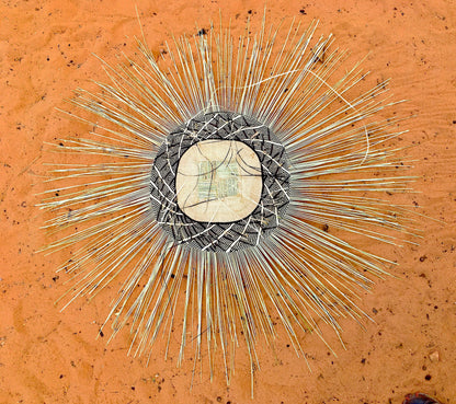 Zim Plate – Handwoven Ilala Palm Wall Plate (Natural)
